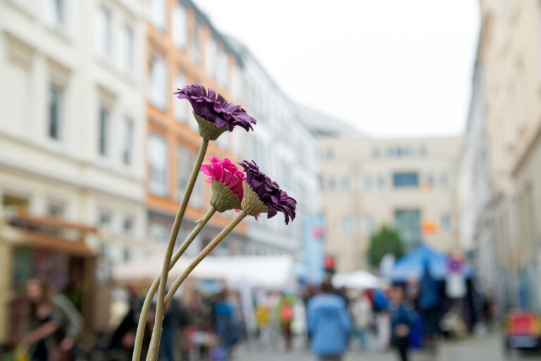 Politik verlässlich an der Seite von Veranstaltenden